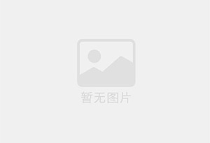 人参皂苷Rh1
